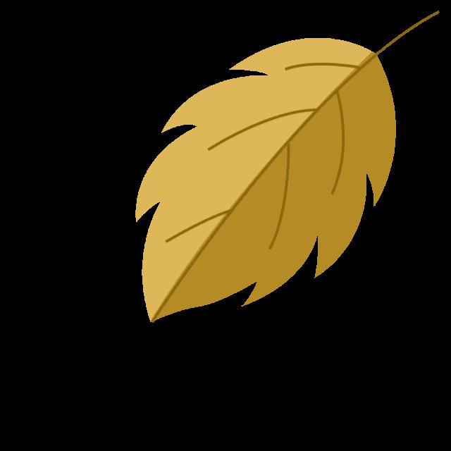 DƬ